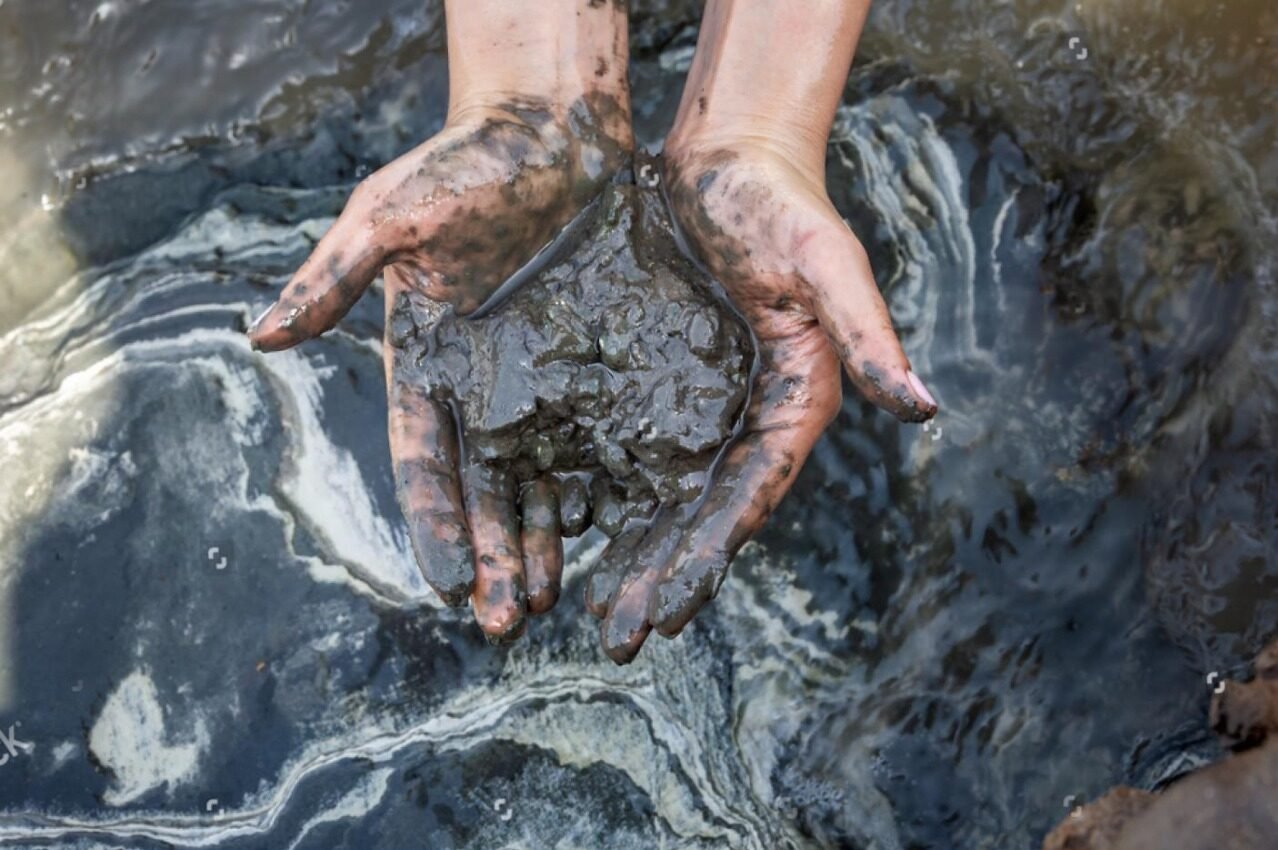 DeWatermark.ai_1756551791381